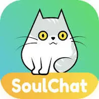 SoulChat Amount